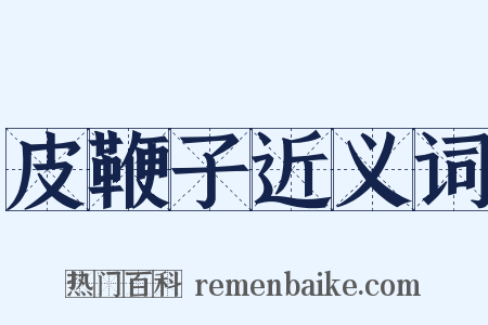 皮鞭子近义词是什么意思的图片